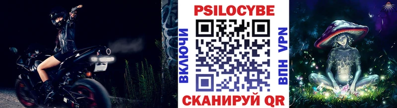 Галлюциногенные грибы Psilocybe  где купить наркотик  Ялуторовск 